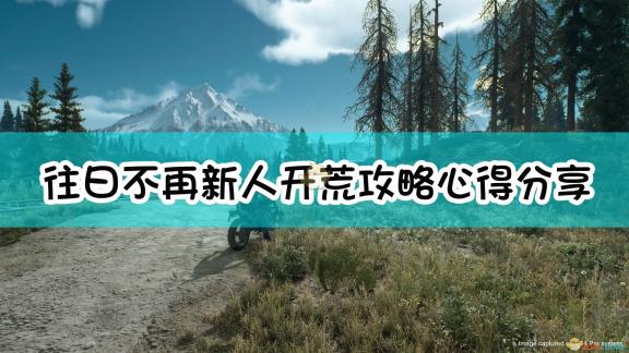教育工作者提醒课堂安全与尊重：英语老师未戴口罩一节课被意外打断