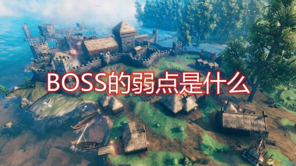 错事后汲取教训：成长中的自我反思与反思后的冰球之旅