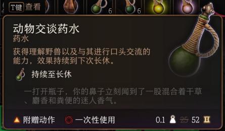 张悠雨引领模特新风尚，魅力四溢展现人体新高度