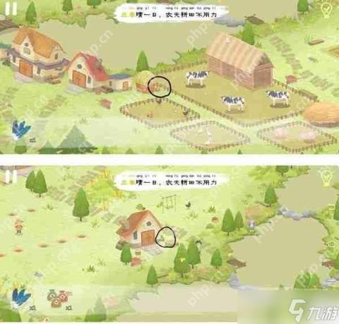 揭秘亚洲与欧洲尺码差异：解读服装尺码的差异与特点