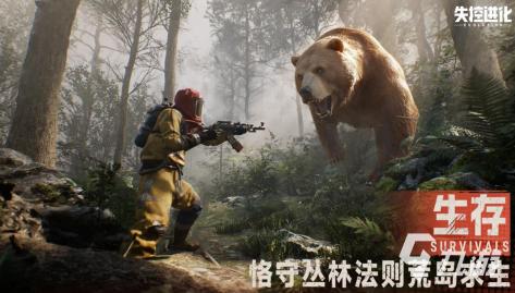 揭秘日韩区别：一区二区网络环境对比分析