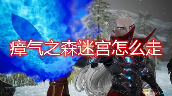 果蔬盛宴：无限惊喜，尽享新鲜果蔬无限次品尝