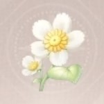 青春之途：突破成长门槛——解读青春的挑战与机遇