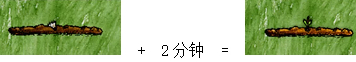 重磅上线！全新台服魔兽世界开启新篇章，玩家畅享游戏新体验