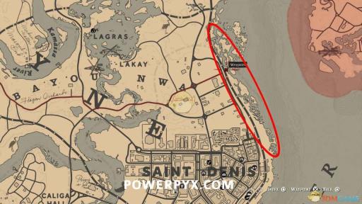 2021年猫咪网名新篇章：地域风潮下的网名创新，猫咪新域名引领潮流