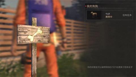 六个男人躁动打破清晨宁静：真实体验分享揭秘躁动影响早晨生活