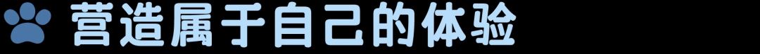 亚洲卡精品精选：潮流引领，精选卡系列展现亚洲时尚新风尚